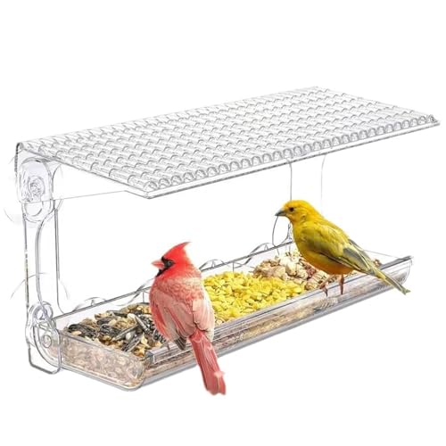 KANLVU Fenster Vogelfutterspender Mit Starken SaugnäPfen, Transparentes Design Mit Saatgut-Schale, Perfekt Für Die Nahaufnahme Vogelbeobachtung KANLVU Fenster Vogelfutterspender Mit Starken SaugnäPfen, Transparentes Design Mit Saatgut-Schale, Perfekt Für Die Nahaufnahme Vogelbeobachtung von KANLVU