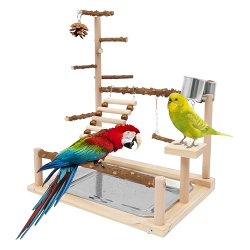 KAPIPALA Wellensittich Spielplatz Vogel Spielständer Holz Papageienständer mit Feeder-Cup, Leiter, Schaukel und Tablett für kleine und mittelgroße Vögel 37x26x45cm KAPIPALA Wellensittich Spielplatz Vogel Spielständer Holz Papageienständer mit Feeder-Cup, Leiter, Schaukel und Tablett für kleine und mittelgroße Vögel 37x26x45cm von KAPIPALA
