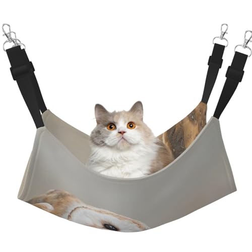 KAPPTYY Haustier-Hängemattenbett mit lustigen Eulen, verstellbare Gurte und Metallhaken, doppelseitiges Bett KAPPTYY Haustier-Hängemattenbett mit lustigen Eulen, verstellbare Gurte und Metallhaken, doppelseitiges Bett von KAPPTYY