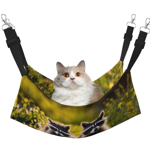 KAPPTYY Niedliches Waschbär-Hängemattenbett mit verstellbaren Riemen und Metallhaken, doppelseitiges Bett KAPPTYY Niedliches Waschbär-Hängemattenbett mit verstellbaren Riemen und Metallhaken, doppelseitiges Bett von KAPPTYY