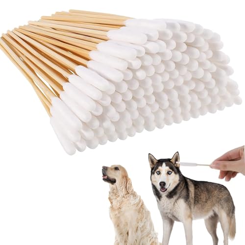 200 Stück Wattestäbchen für Hunde, Hunde Wattestäbchen Ohrreiniger, 15cm Ohrreiniger für Haustiere, Ohrreinigung für Hunde, Hundeohr Reinigungsstäbchen, Ohrreinigungsstäbchen für Haustiere Hund 200 Stück Wattestäbchen für Hunde, Hunde Wattestäbchen Ohrreiniger, 15cm Ohrreiniger für Haustiere, Ohrreinigung für Hunde, Hundeohr Reinigungsstäbchen, Ohrreinigungsstäbchen für Haustiere Hund von KARELLS