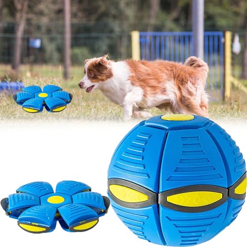 Ball Frisbee, Haustier Spielzeug Frisbee Ball Fliegender Ball, Haustier Spielzeug Frisbee Ball, Outdoor Spielzeug Hund, Fliegender Ball für Hunde, für Hunde und Kinder, Werfen und Spielen, Blau von KARELLS