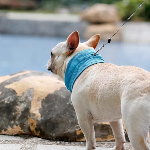 Hunde Halstücher Kühlend, Kühlhalsband für Hunde, Atmungsaktiv Wärmeableitung Bandana Hund, Kühlung Kragen Hund, Geeignet für Kühlhunde im Sommer (Blau-M) von KARELLS