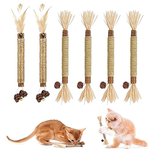 KARELLS Beißspielzeug Katze, Katzenminze Stick, 6 Stück Katzenminze Sticks für Katzen, Matatabi Katze Kauspielzeug, Knabberstangen Katze, Matatabi Katzensticks, Katzen Zahnpflege Spielzeug von KARELLS