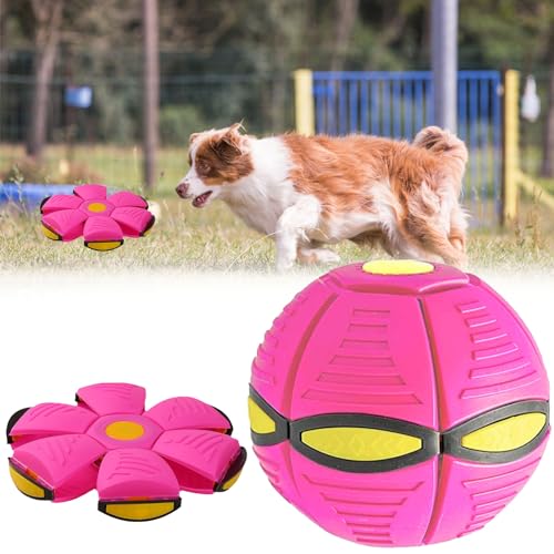 Ball Frisbee, Haustier Spielzeug Frisbee Ball Fliegender Ball, Haustier Spielzeug Frisbee Ball, Outdoor Spielzeug Hund, Fliegender Ball für Hunde, für Hunde und Kinder, Werfen und Spielen, Rosa von KARELLS