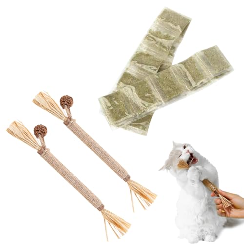 KARELLS Katzenspielzeug Mit Katzenminze,Katzenminze in Premium-Qualität,Katzenminze Sticks für Katzen,Kausticks Set,Matatabi Katze Kauspielzeug,Für ​Katze Zu Spielen,Beißen,Kauen(20G+2PCS) von KARELLS