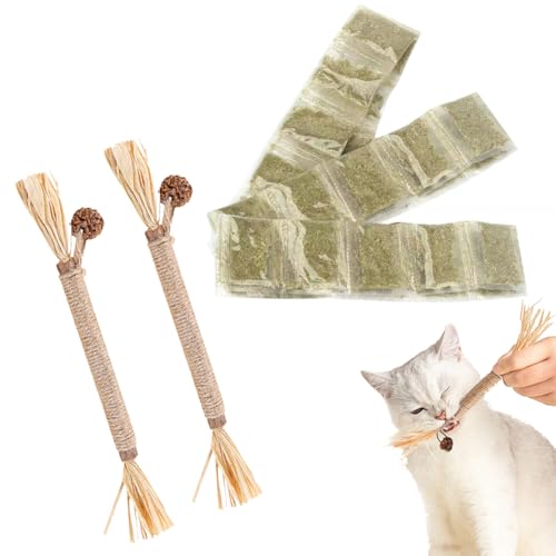 KARELLS Katzenspielzeug Mit Katzenminze,Katzenminze in Premium-Qualität,Katzenminze Sticks für Katzen,Kausticks Set,Matatabi Katze Kauspielzeug,Für ​Katze Zu Spielen,Beißen,Kauen(30G+2PCS) von KARELLS