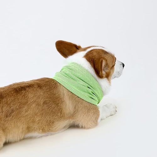 M Hunde Halstücher Kühlend, Kühlhalsband für Hunde, von KARELLS