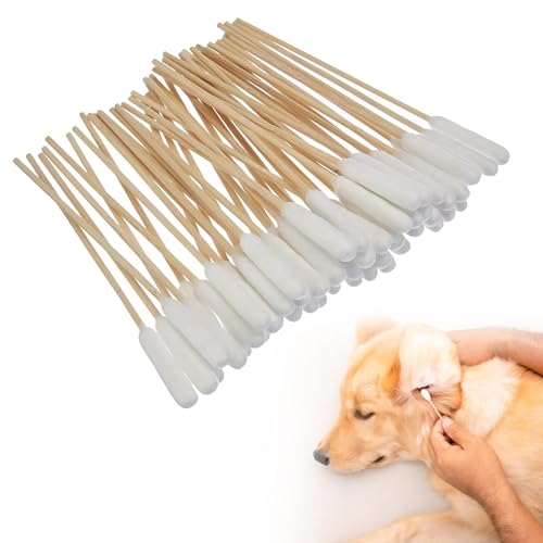 KARELLS Hunde Wattestäbchen, 50 Stück Haustiere Ohrreiniger Lang, Hundeohr Reinigungsstäbchen, Holz Ohrreinigung für Haustiere Hunde, Ohrreinigungsstäbchen für Haustiere Hund, Katzen, 12cm KARELLS Hunde Wattestäbchen, 50 Stück Haustiere Ohrreiniger Lang, Hundeohr Reinigungsstäbchen, Holz Ohrreinigung für Haustiere Hunde, Ohrreinigungsstäbchen für Haustiere Hund, Katzen, 12cm von KARELLS