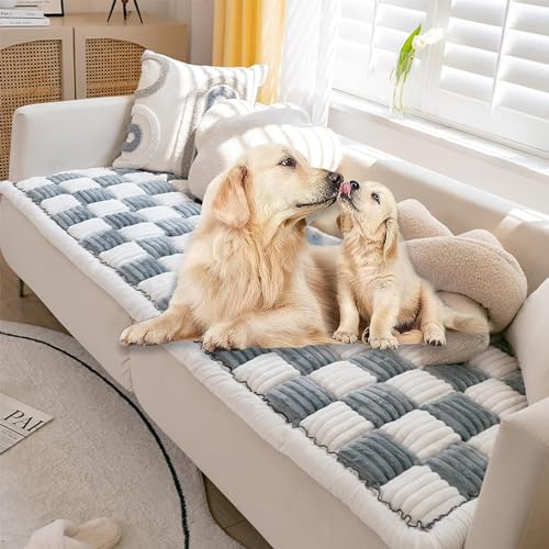 KARFRI Lustige Fuzzy Couchabdeckung, cremefarbene große Karierte quadratische Haustiermatte Bett Couchabdeckung, lustige Fuzzy Haustier Couchabdeckung, Garten Chic Baumwolle schützende Couchabdeckung KARFRI Lustige Fuzzy Couchabdeckung, cremefarbene große Karierte quadratische Haustiermatte Bett Couchabdeckung, lustige Fuzzy Haustier Couchabdeckung, Garten Chic Baumwolle schützende Couchabdeckung von KARFRI
