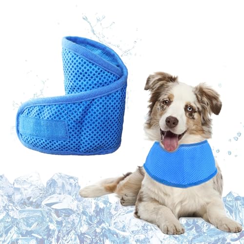 KASESSS Kühltuch Hund Halstuch Kühlend, Kühlhalsband für Hunde, Halstuch Hund, Hundehalstuch im Sommer, Atmungsaktiv Kühlung Hundehalstuch für Ausruhen, Schlafen, Sommerspaziergang Spielen, M, Blau KASESSS Kühltuch Hund Halstuch Kühlend, Kühlhalsband für Hunde, Halstuch Hund, Hundehalstuch im Sommer, Atmungsaktiv Kühlung Hundehalstuch für Ausruhen, Schlafen, Sommerspaziergang Spielen, M, Blau von KASESSS