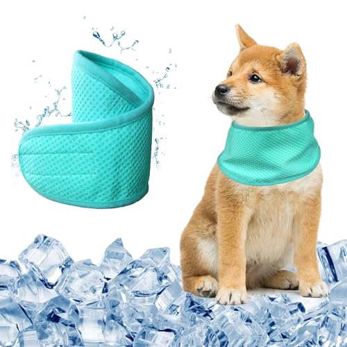 KASESSS Kühltuch Hund Halstuch Kühlend, Kühlhalsband für Hunde, Halstuch Hund, Hundehalstuch im Sommer, Atmungsaktiv Kühlung Hundehalstuch für Ausruhen, Schlafen, Sommerspaziergang Spielen, M, Grün KASESSS Kühltuch Hund Halstuch Kühlend, Kühlhalsband für Hunde, Halstuch Hund, Hundehalstuch im Sommer, Atmungsaktiv Kühlung Hundehalstuch für Ausruhen, Schlafen, Sommerspaziergang Spielen, M, Grün von KASESSS