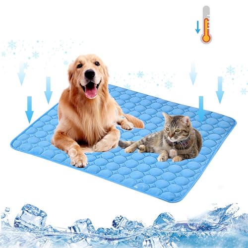 KASESSS Selbstkühlende Kühlmatte Hund, Bequem Kühlmatte für Hunde, Weich Kühldecke Hund, Hundekühlmatte Groß 70x55CM, Blau Kühldecke für Hunde, Cooling Mat for Dogs, Kühlmatte Katze für Zuhause, Auto KASESSS Selbstkühlende Kühlmatte Hund, Bequem Kühlmatte für Hunde, Weich Kühldecke Hund, Hundekühlmatte Groß 70x55CM, Blau Kühldecke für Hunde, Cooling Mat for Dogs, Kühlmatte Katze für Zuhause, Auto von KASESSS