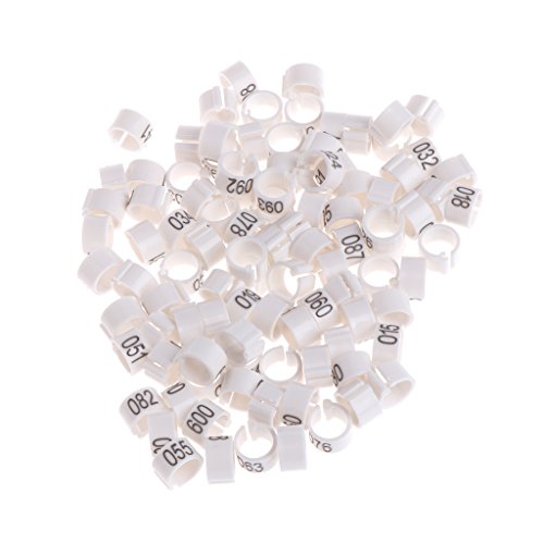 KASFDBMO Beinringe für Hühner, Vögel, Identifikation, Beinbänder, Geflügel, zum Anklippen, 8 mm, für Tauben, Wachteln, 100 Stück KASFDBMO Beinringe für Hühner, Vögel, Identifikation, Beinbänder, Geflügel, zum Anklippen, 8 mm, für Tauben, Wachteln, 100 Stück von KASFDBMO