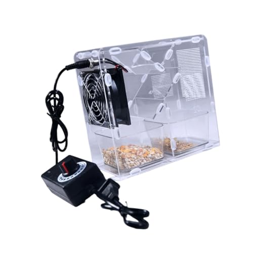 KASFDBMO Quick Shelling Vogelfuttermaschine Einstellbarer Geschwindigkeitsregler mit integrierter Auffangbox zum Spalten von Vogelfutter KASFDBMO Quick Shelling Vogelfuttermaschine Einstellbarer Geschwindigkeitsregler mit integrierter Auffangbox zum Spalten von Vogelfutter von KASFDBMO