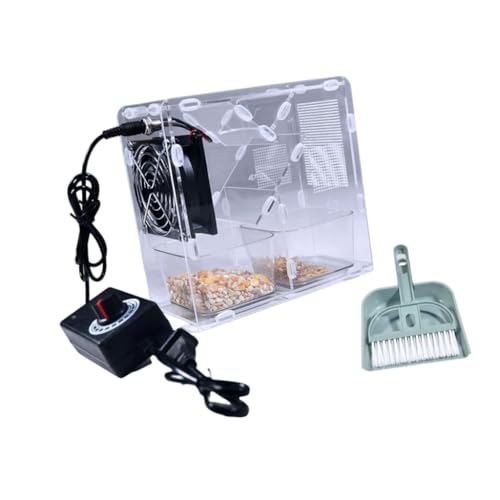 KASFDBMO Quick Shelling Vogelfuttermaschine Einstellbarer Geschwindigkeitsregler mit integrierter Auffangbox zum Spalten von Vogelfutter KASFDBMO Quick Shelling Vogelfuttermaschine Einstellbarer Geschwindigkeitsregler mit integrierter Auffangbox zum Spalten von Vogelfutter von KASFDBMO