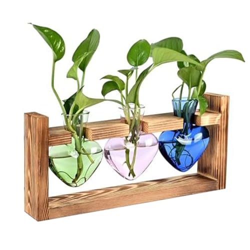 KASNLSAC Glasvermehrung Station Hydroponische Pflanze mit Holzrahmen Terrarium-Kit für Innenpflanzen U-förmiges Design herzförmiger Flaschen Schreibtisch Bücherregal Dekor Mehrfarbig von KASNLSAC