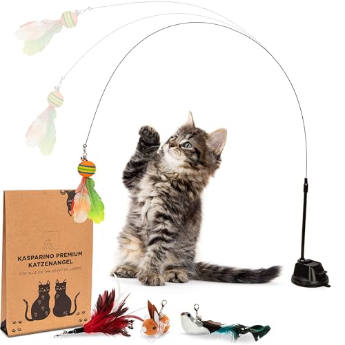 KASPARINO Katzenangel stabil - Katzenspielzeug Angel mit Federn, Vogel & Saugnapf - Selbstbeschäftigung - Langlebige Katzen inkl. Katzenminze - interaktives Set KASPARINO Katzenangel stabil - Katzenspielzeug Angel mit Federn, Vogel & Saugnapf - Selbstbeschäftigung - Langlebige Katzen inkl. Katzenminze - interaktives Set von KASPARINO