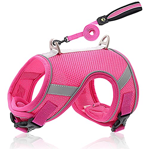 Haustierzubehör Atmungsaktives Mesh Hunde Katzenkabelbaum Leine Set Reflective Nylon Welpengurt Weste einstellbares GEH Blei for kleine mittelgroße Hunde Katzen (Color : Rose, Size : XS1) von KASUK