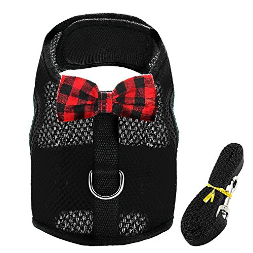 Haustierzubehör Atmungsaktives kleines Katzenhundkabelbaumweste Verstellbares Bowtie Nylon Mesh Welpen Kätzchen Kabelbaum Leine Set for Kaninchenstrustriemen (Color : Black, Size : B) von KASUK