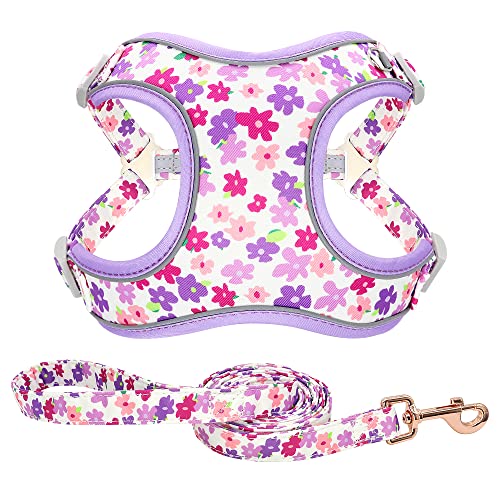 Haustierzubehör Blumendruckte reflektierende Hundekabelbaum und Leine einstellbare Gurtweste for mittelgroße große Hunde, die Laufen (Color : 114T Purple, Size : B) von KASUK