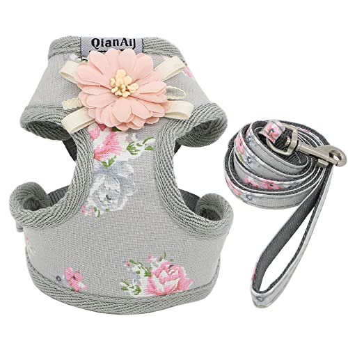 Haustierzubehör Hundegurt Leine Set Mode schöne Florale atmungsaktiv (Color : G, Size : B) von KASUK