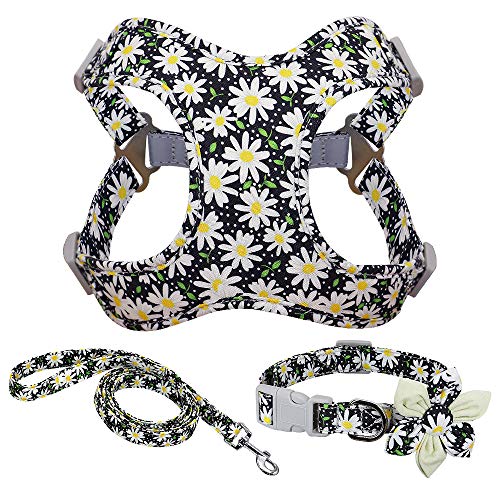 Haustierzubehör Kabelbaumleine und Kragen Set gedruckt kein Pull Hundekabelbaumweste Leinenkragen for kleine mittelgroße große Hunde Set (Color : Black, Size : A) von KASUK