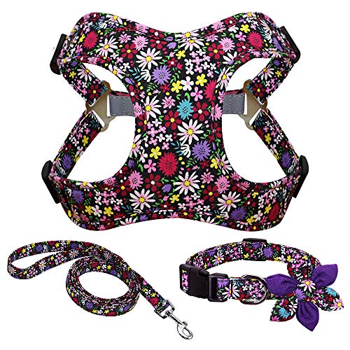 Haustierzubehör Kabelbaumleine und Kragen Set gedruckt kein Pull Hundekabelbaumweste Leinenkragen for kleine mittelgroße große Hunde Set (Color : Purple, Size : A) von KASUK