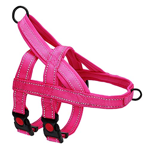 Haustierzubehör Kein Ziehen Nylon Hundegurt Reflektierende einstellbare Hundekabelbaumweste for mittelgroße große Hunde, die Trainingsgürtel (Color : Rose Red, Size : A) von KASUK