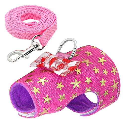 Haustierzubehör Kleiner Haustier Kaninchengurtweste und Leine Set for Schweines Hasen Kaninchen Welpen Kätzchen Bowknot Brustgurt (Color : Pink, Size : Chest for 10-14cm) von KASUK