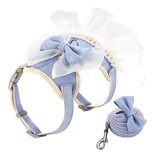 Haustierzubehör Niedliche Bowknot -Katzengurt Leine Set Spitze Perle Welpe Weste Blei Nylon atmungsaktives Kätzchenkabel for Katzen kleine Hunde (Color : Blue, Size : XS1) von KASUK