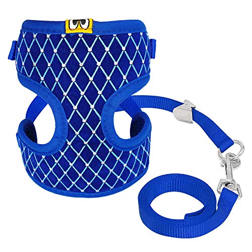 Haustierzubehör Niedliche Hundekatkabelbaumweste Weste Atmungsbares Mesh Haustierpaplergurt und Leine Set Kleiner Nylon weicher Haustier Brustband (Color : Blue, Size : A) von KASUK