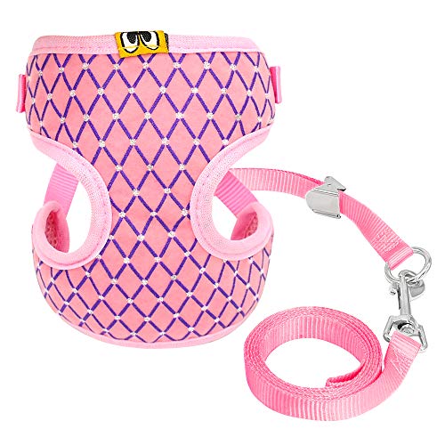 Haustierzubehör Niedliche Hundekatkabelbaumweste Weste Atmungsbares Mesh Haustierpaplergurt und Leine Set Kleiner Nylon weicher Haustier Brustband (Color : Pink, Size : A) von KASUK