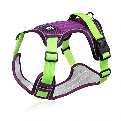 Haustierzubehör Nylon Big Dog -Kabelbaum Keine Überziehung reflektierender Haustierkabelbaumweste for mittelgroße Hunde Walkness -Gurte Gurte (Color : Purple, Size : B) von KASUK