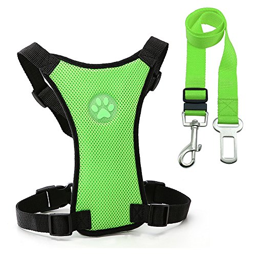 Haustierzubehör Nylon atmungsaktives Mesh Hundekabelbaum Weste Sicherheit Haustier Auto Sicherheitsgurt Hunde Leine Blei einstellbar for mittlere große Hunde (Color : Green, Size : A) von KASUK