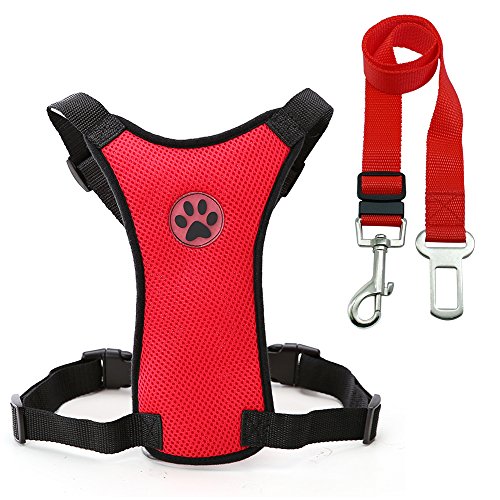 Haustierzubehör Nylon atmungsaktives Mesh Hundekabelbaum Weste Sicherheit Haustier Auto Sicherheitsgurt Hunde Leine Blei einstellbar for mittlere große Hunde (Color : Red, Size : M1) von KASUK