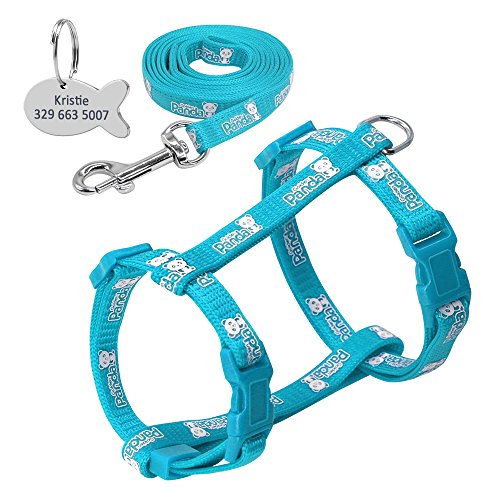 Haustierzubehör Nylon reflektierender Katzenpapler -Gurt Leine Blei Set Walking Petable Traction Weste Gürtel for Katzenkätzchen Geschenk (Color : Blue, Size : Chest 24 to 36cm) von KASUK