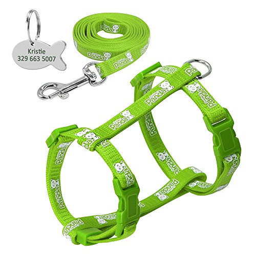 Haustierzubehör Nylon reflektierender Katzenpapler -Gurt Leine Blei Set Walking Petable Traction Weste Gürtel for Katzenkätzchen Geschenk (Color : Green, Size : Chest 24 to 36cm) von KASUK