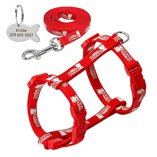 Haustierzubehör Nylon reflektierender Katzenpapler -Gurt Leine Blei Set Walking Petable Traction Weste Gürtel for Katzenkätzchen Geschenk (Color : Red, Size : Chest 24 to 36cm) von KASUK