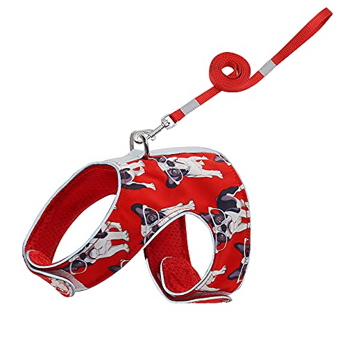 Haustierzubehör Reflektierende Katzenkabelbaum Leine Set einstellbares Nylonnetz Pet Puppy Katzengurt Weste Leine for kleine Katzen Hunde Kätzchen (Color : Red, Size : B) von KASUK