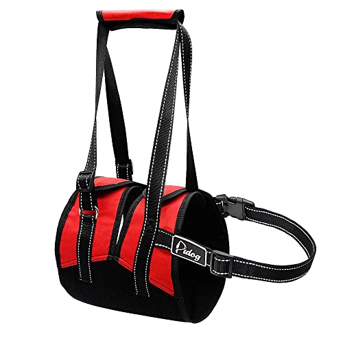 Haustierzubehör Reflektierende Nylon Haustierhund Liftgurtsnetz gepolstert verstellbare mittelgroße große Haustiere, die Weste for alte Hunde mit Griff Heben (Color : Red, Size : A) von KASUK