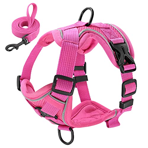 Haustierzubehör Reflektierende Nylon -Mesh -Hundekabelbaum -Leine Set einstellbare Hundekabelbaumweste Leine for kleine mittelgroße Hunde (Color : Rose Red, Size : A) von KASUK