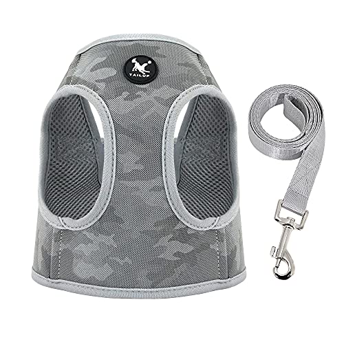 Haustierzubehör Reflektierende Nylonhundkabelbaum Leine Set EIN verstellbares Welpengurt Weste Weichmasch Haustier Gurte Leine Blei for kleine mittelgroße Hunde (Color : Gray, Size : M1) von KASUK