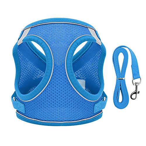 Haustierzubehör Reflektierendes Mesh Nylon Hunde Katzengurt Leine Set einstellbares Haustier Welpe Kätzchen Wandergurte Weste for kleine mittelgroße Hunde Katzen (Color : Blue, Size : B) von KASUK