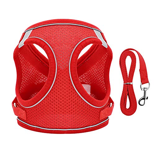 Haustierzubehör Reflektierendes Mesh Nylon Hunde Katzengurt Leine Set einstellbares Haustier Welpe Kätzchen Wandergurte Weste for kleine mittelgroße Hunde Katzen (Color : Red, Size : B) von KASUK