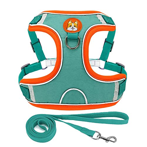 Haustierzubehör Soft Pet Cat Kätzchen Kabelbaum Leine Set einstellbare reflektierende Welpe Katzengurte Weste Walking Leinen Blei (Color : Blue, Size : A) von KASUK