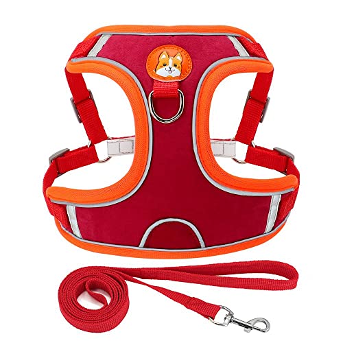 Haustierzubehör Soft Pet Cat Kätzchen Kabelbaum Leine Set einstellbare reflektierende Welpe Katzengurte Weste Walking Leinen Blei (Color : Red, Size : A) von KASUK