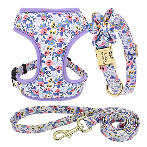 Haustierzubehör Verstellbarer Nylon -Netzkragen -Gurt Leine Set niedliche gedruckte Welpen Katzengurt Weste Leine for kleine mittelgroße Hunde (Color : Blue Sets, Size : M1) von KASUK
