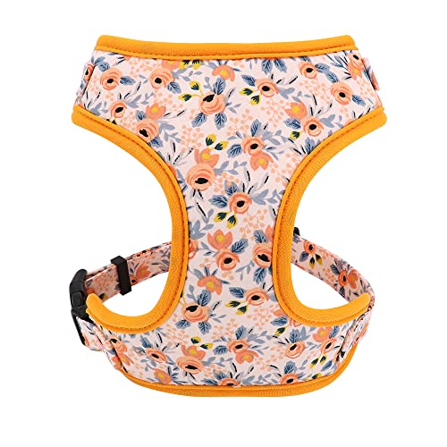 Haustierzubehör Verstellbarer Nylon -Netzkragen -Gurt Leine Set niedliche gedruckte Welpen Katzengurt Weste Leine for kleine mittelgroße Hunde (Color : Orange, Size : A) von KASUK