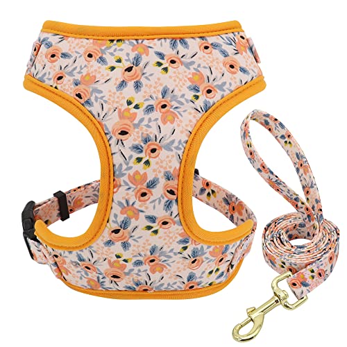 Haustierzubehör Verstellbarer Nylon -Netzkragen -Gurt Leine Set niedliche gedruckte Welpen Katzengurt Weste Leine for kleine mittelgroße Hunde (Color : Orange Set, Size : XS1) von KASUK